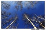 _DSC4937x_0024