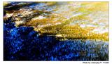 _DSC4797ax_0017
