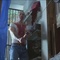 pulp
