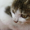 DSC00316