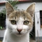 DSC00420