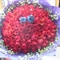 DSC00048-1