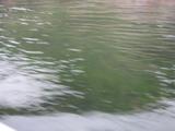 漓江风光4