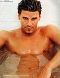 david Boreanaz