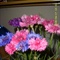 STP61668 (Small)