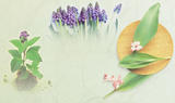 backgroud-7