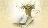 backgroud-3