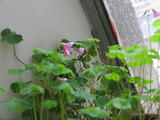 微距3