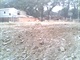 IMG0070A