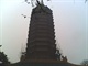 IMG0084A
