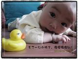 151_37720_9fe778077cced29