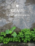 grass