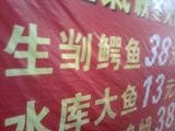 连鳄鱼都吃~⊙﹏⊙b汗