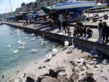 DSC00976