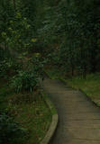 路1