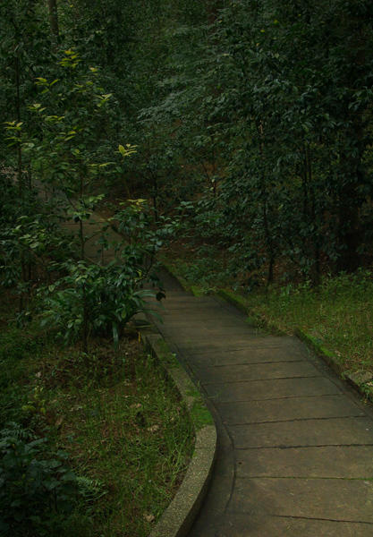 路1