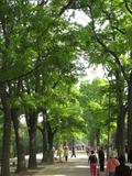 太原迎泽公园2