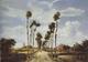 Meindert_Hobbema_The_avenue_middelharnis