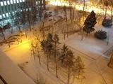 还是雪景