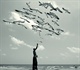 Dreams