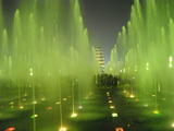 DSCN5966
