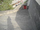 DSCN3925