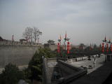 DSCN3871