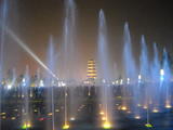DSCN5967