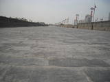 DSCN3915