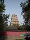 DSCN4981