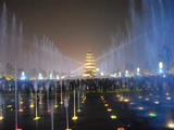 DSCN5975