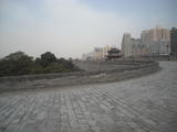 DSCN3893