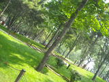 DSCN4993