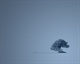 168_439999_d789d2d80c91d47