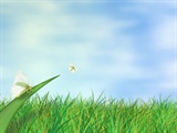 Fly Away