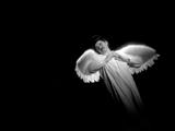 Maddin_6_body
