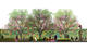 PPS_NEW-CROSS-GATE_02_1
