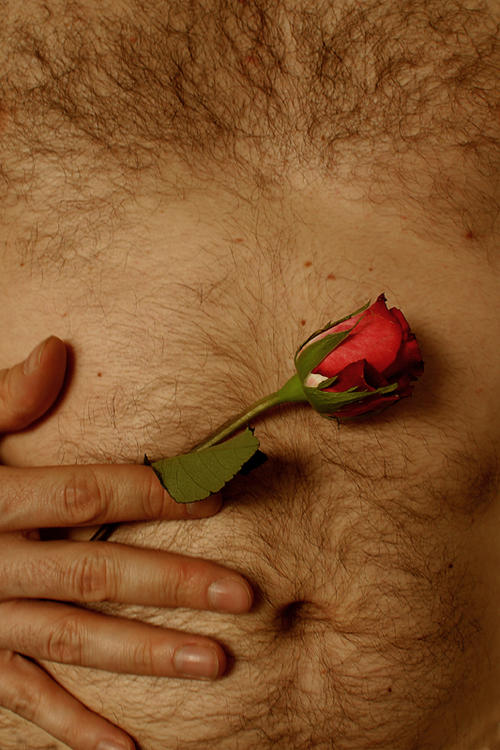 American Beauty