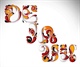 Stefan Chinof15