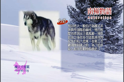 力奇资料