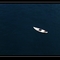 PDVD_002_nEO_IMG
