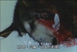 力奇