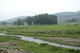 DSC02519