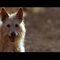 LAKE_HOUSE-4