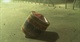 两小无猜[(003621)22-58-30]