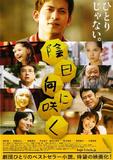 背阴盛放