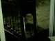 IMG0381A