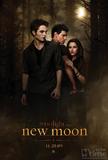 The Twilight Saga2