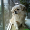 DSC00331