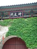 DSC00259